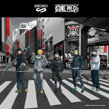 website thumbnail_onepiece